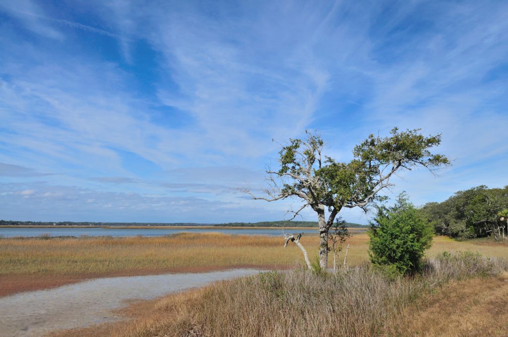 A salt marsh at the Pinckney Island National Wildlife Refuge with a pretty blue sky and a lonesome tree